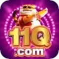 11q Live Casino VIP